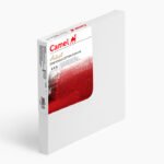 Camel Stretched Canvas Individual canvas  8 x 8