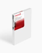 Camel Stretched Canvas Individual canvas  8 x 10