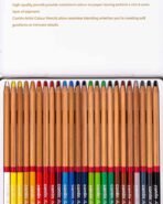 Camlin  Artist  Colour  Pencils  Assorted  pack  of  24  shades - Image 4