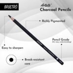 BRUSTRO Artists Charcoal Pencil - Set of 4 (3 Black Shade - Soft, Medium, Hard and 1 White - Medium) - Image 4