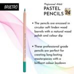 BRUSTRO Artists Pastel Pencils - Set of 24 Shades - 4mm Lead |Erasable, High Pigmented - Image 2
