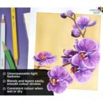 BRUSTRO Artists Watercolour Pencil |Set of 24 (in Elegant tin Box) - Image 4