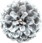 Marvy Uchida DecoColor Premium Paint Marker, Chisel Tip, Metallic Ink, (Silver) - Image 3