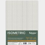 Scholar 100 Gsm Isometric - Grid Loose Sheets, A4 (25 Sheets) (ISOL4)