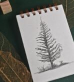 Scholar 150 GSM Paryavaran Sketch Book, A6 (PSB1) - Image 2